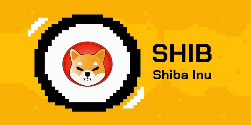 Tổng quan về Shiba Inu và sự phát triển