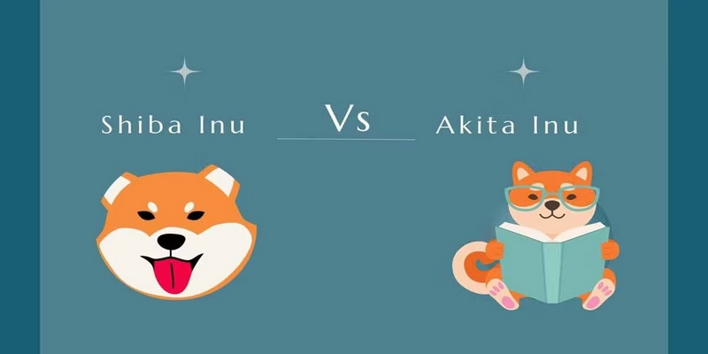 Akita Inu hoặc Shiba Inu - đâu là lựa chọn tốt nhất