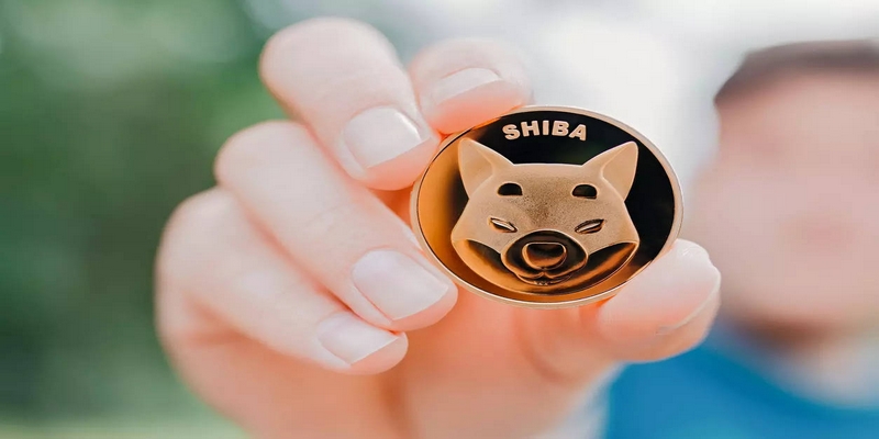 Sự phát triển của Shiba Inu trong 6 tháng qua