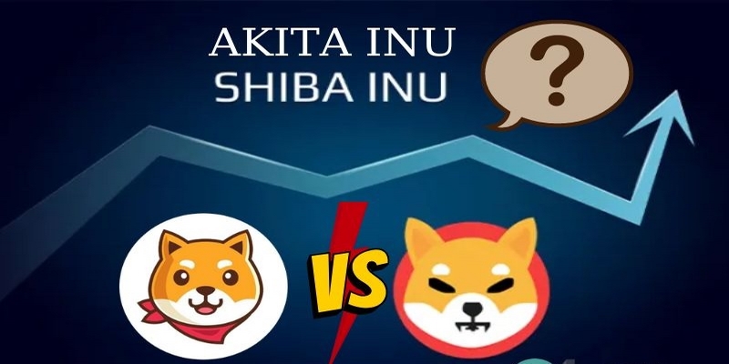 Khả năng thanh khoản và tính ổn định của Akita Inu và Shiba Inu